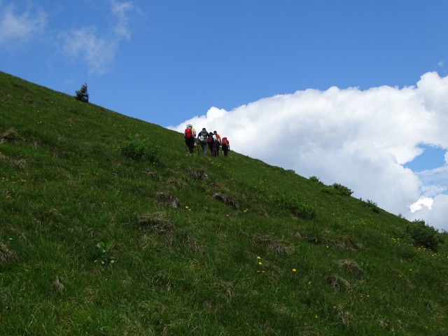 Dravh- Lajnar- Slatnik- Možic 3.6.2017 - foto