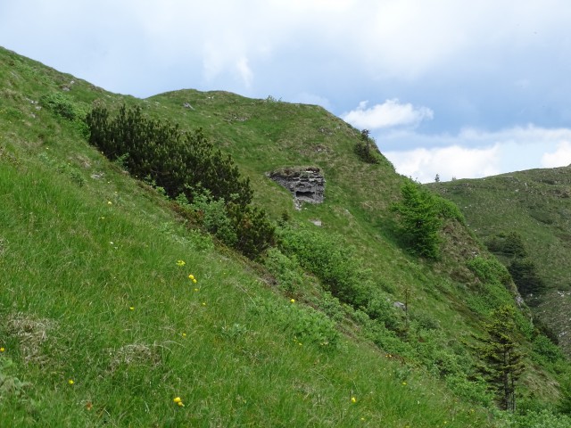 Dravh- Lajnar- Slatnik- Možic 3.6.2017 - foto