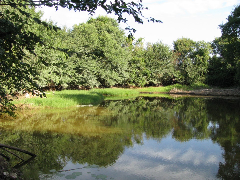 Vtisi iz Istre 22. - 31.7.2017 - foto povečava