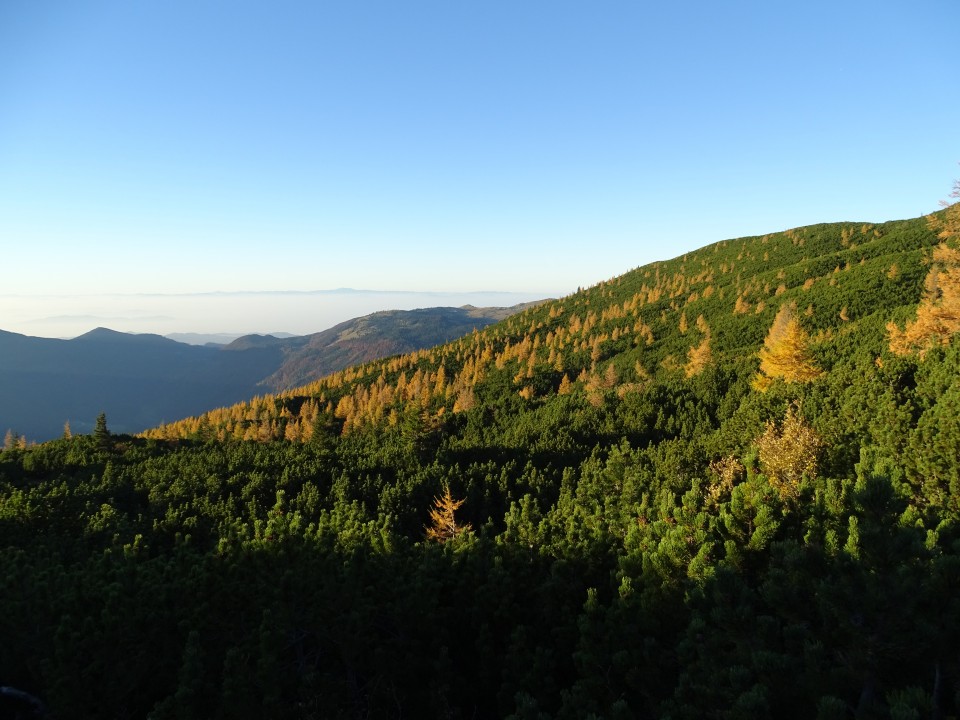 Dleskovec Ojstrica 15.10.2017 - foto povečava