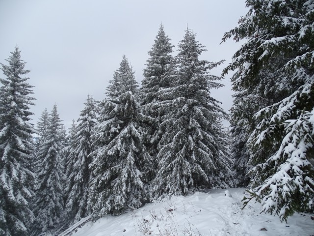 Uršlja gora - Sleme 6.4.2019 - foto