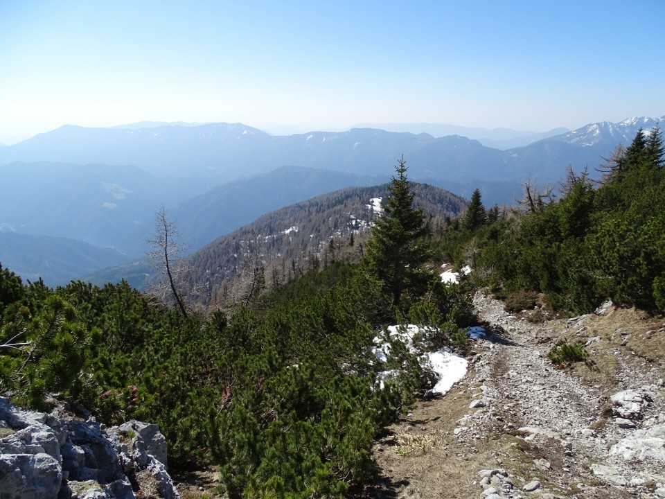 Peca 20.4.2019 - foto povečava