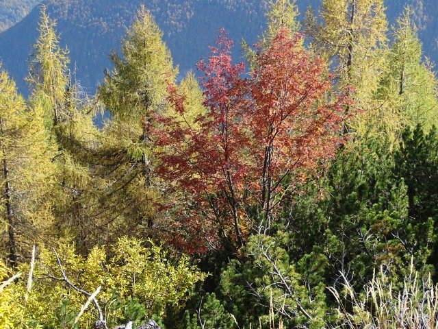 Vrtaško Sleme 13.10.2019 - foto