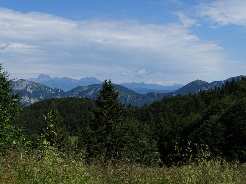 Porezen 21.7.2020 - foto povečava