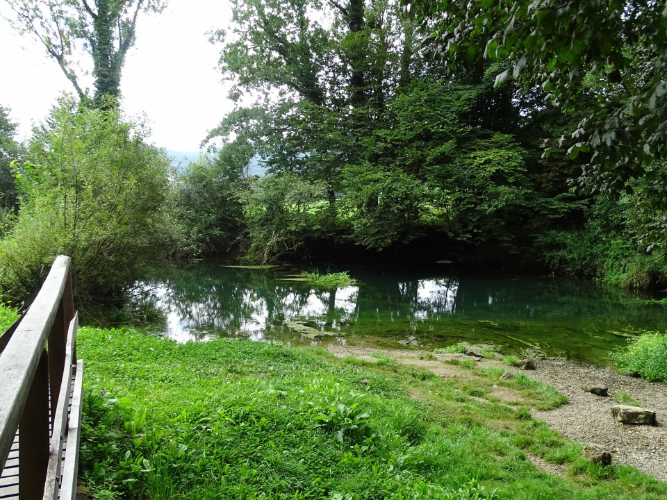 Krka od izvira do Šmarjeških toplic 19.8.2020 - foto povečava