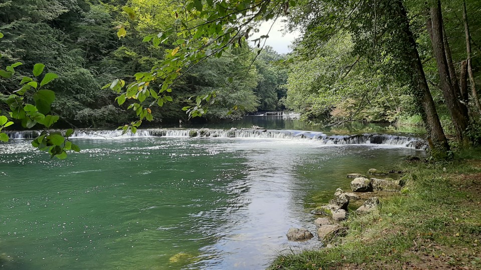 Krka od izvira do Šmarjeških toplic 19.8.2020 - foto povečava