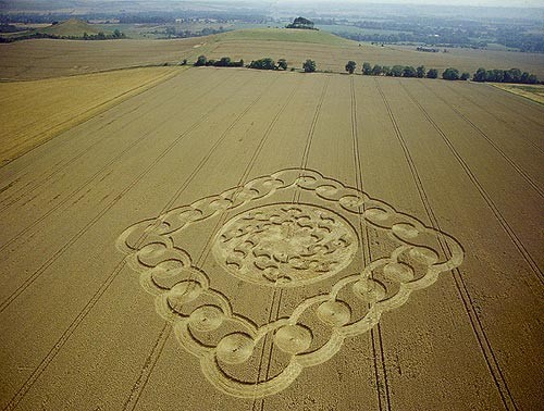 žitni krogi - foto povečava