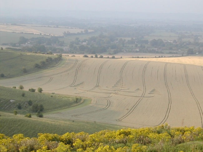 žitni krogi - foto povečava