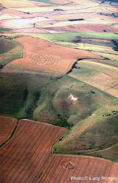 žitni krogi - foto povečava