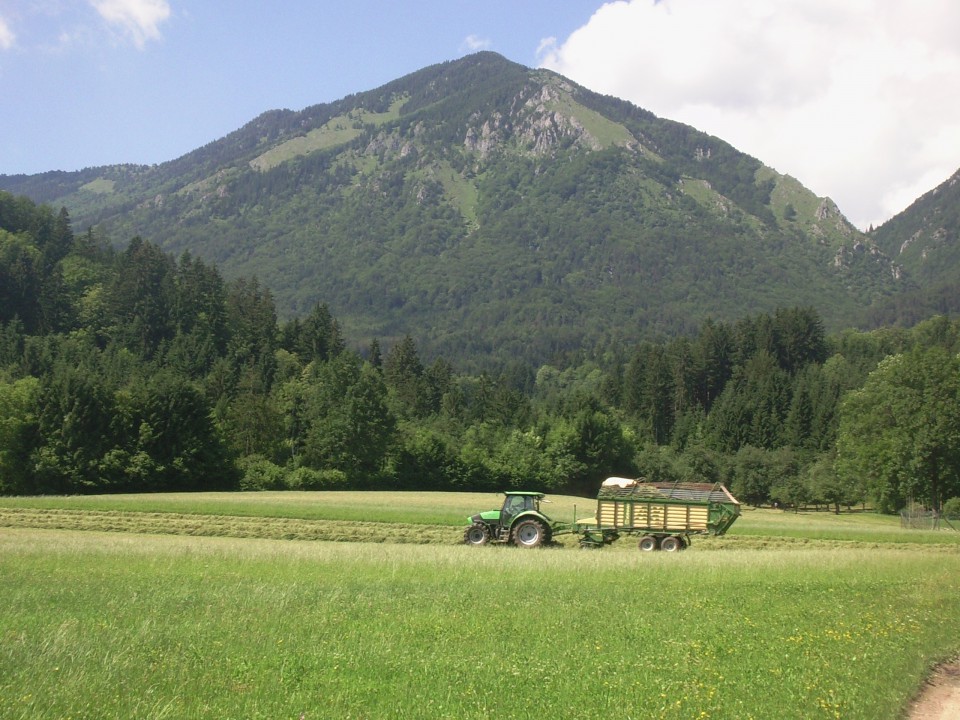 2. košna - foto povečava