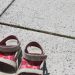 Teva 24,
