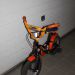Schwinn tiger kolo, 12 col, lepo ohranjen,