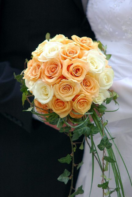 Taka oranžna barva vrtnic si želim.