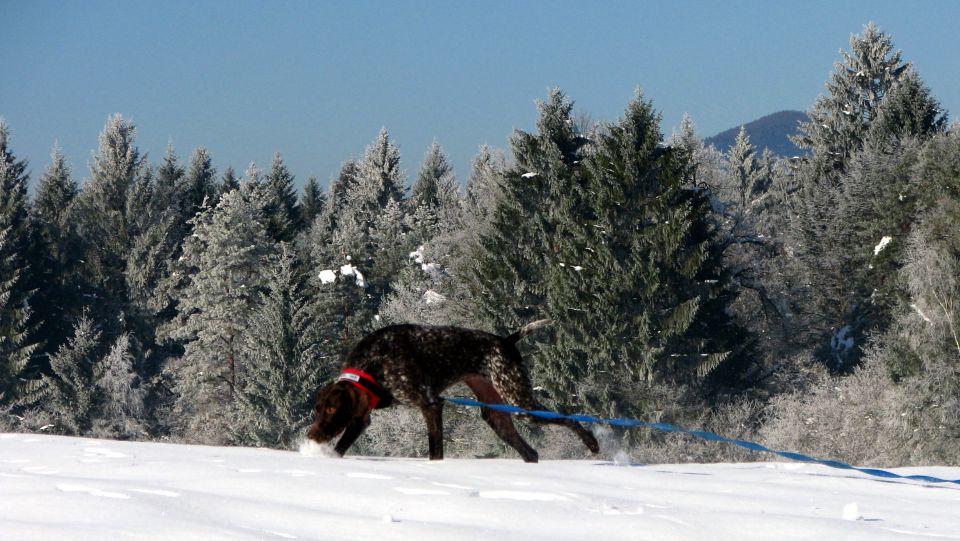 Zima 09/10 - foto povečava