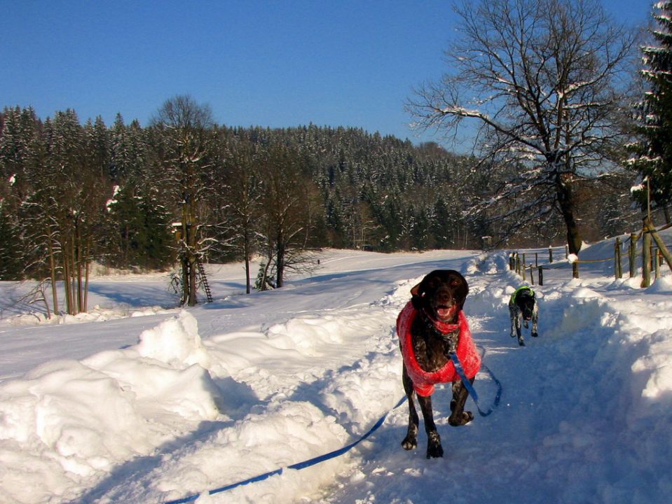 Zima 09/10 - foto povečava