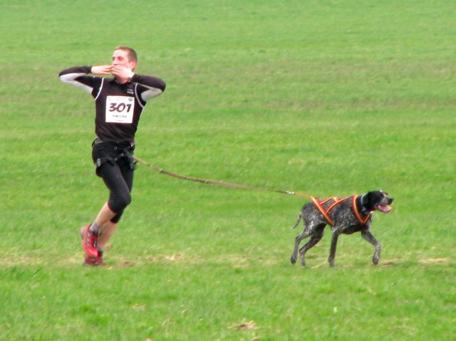 Dryland sleddog Logatec 2010 - sobota - foto