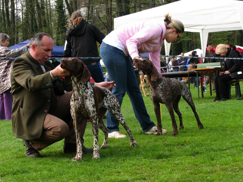 CACIB Maribor 2010 - foto povečava