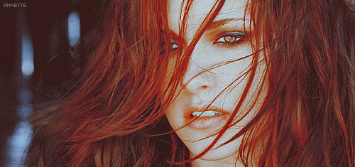 Kristen Stewart - foto