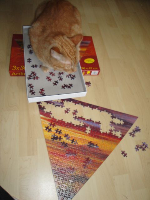 in pol pričakujemo, da bodo vse puzzle cele? nemogoče :)