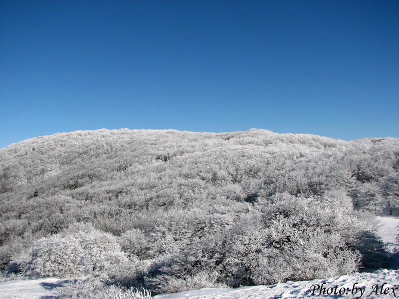 Nanos pozimi - foto povečava