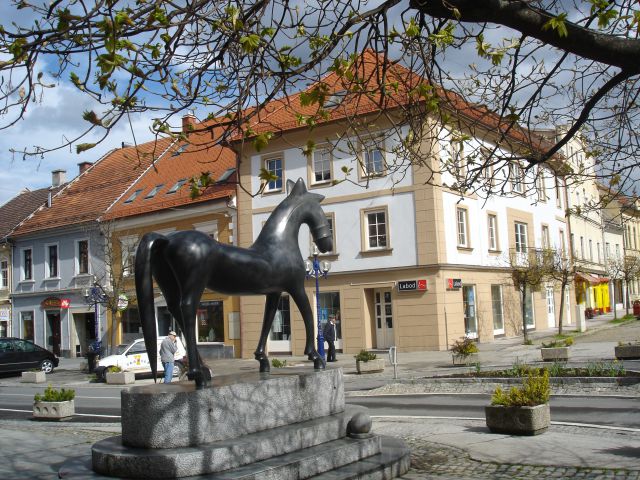 RAZSTAVE-Slovenj Gradec - foto