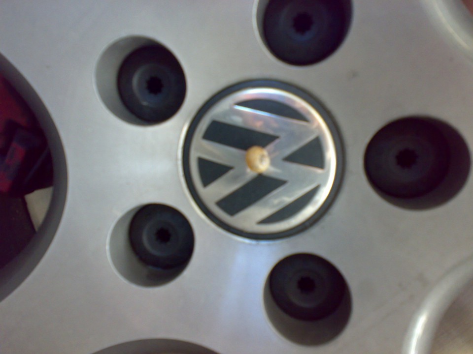 Moje fotke - foto povečava