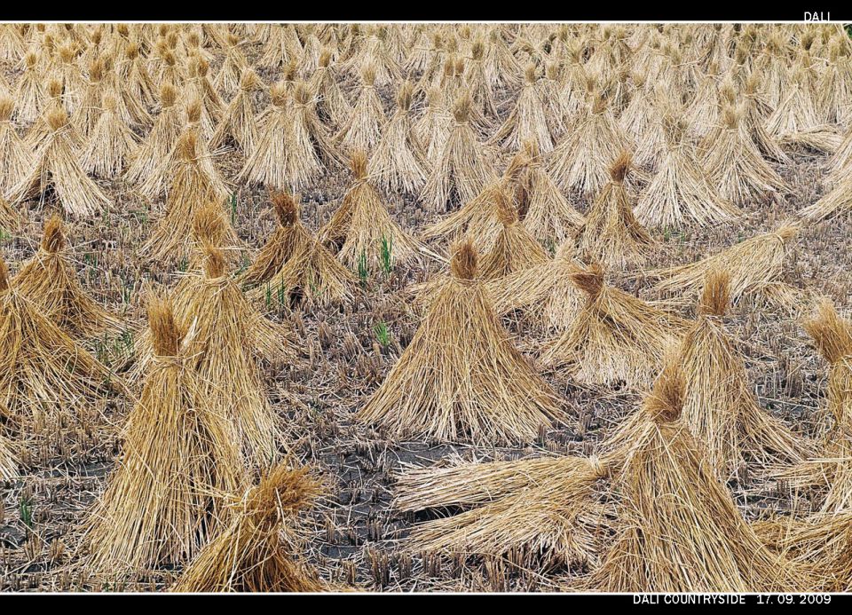 Kitajska, avg. 2009 (2. del) - foto povečava