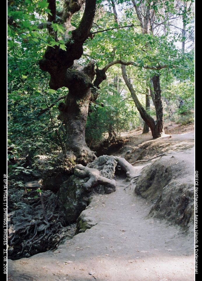 Greece, avg. 2008 - foto povečava