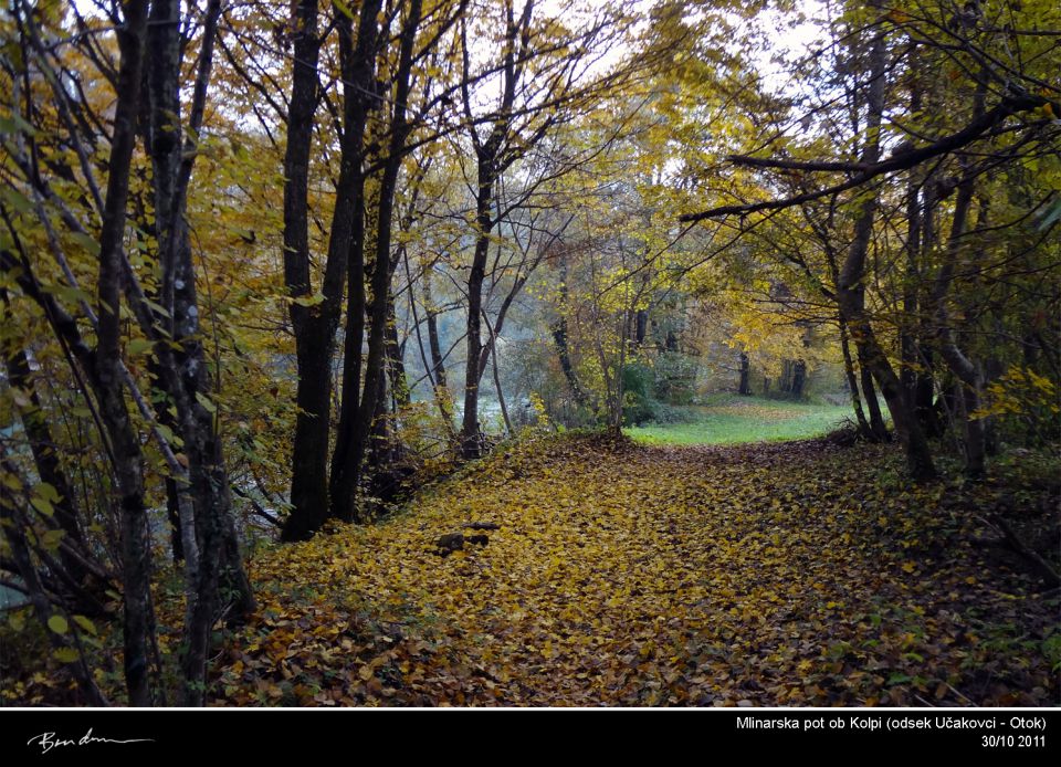 Bela Krajina, okt. 2011 - foto povečava