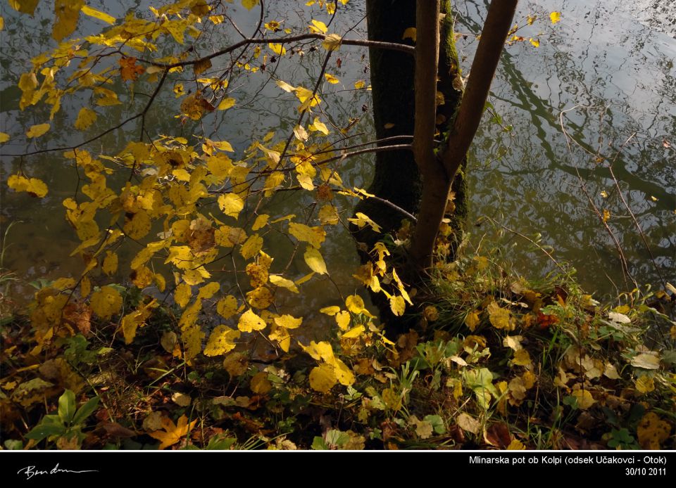 Bela Krajina, okt. 2011 - foto povečava