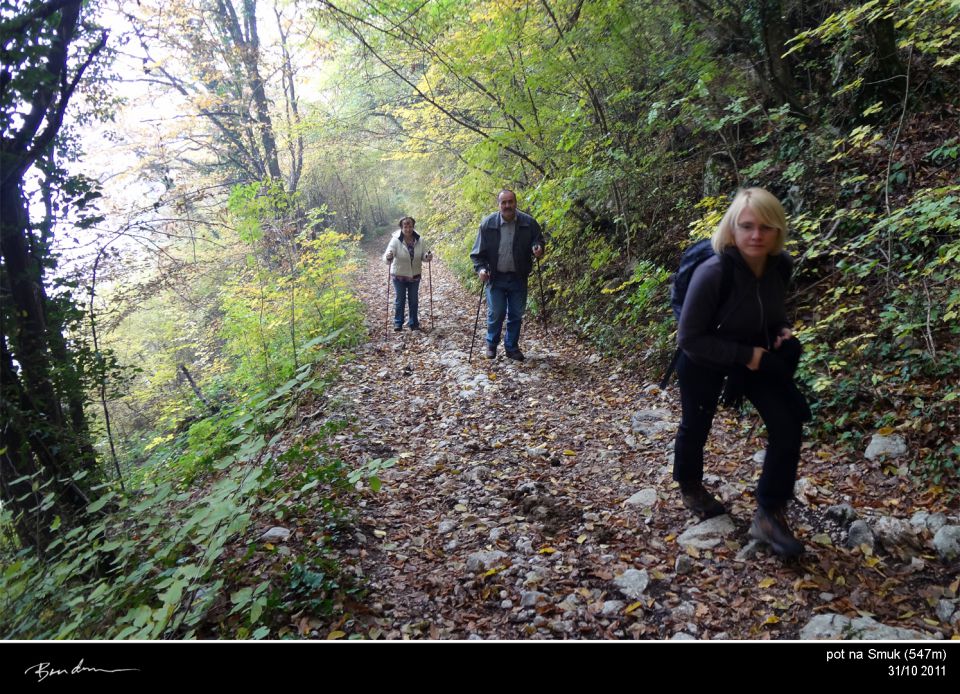 Bela Krajina, okt. 2011 - foto povečava