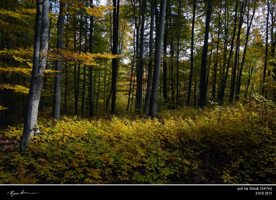 Bela Krajina, okt. 2011 - foto povečava