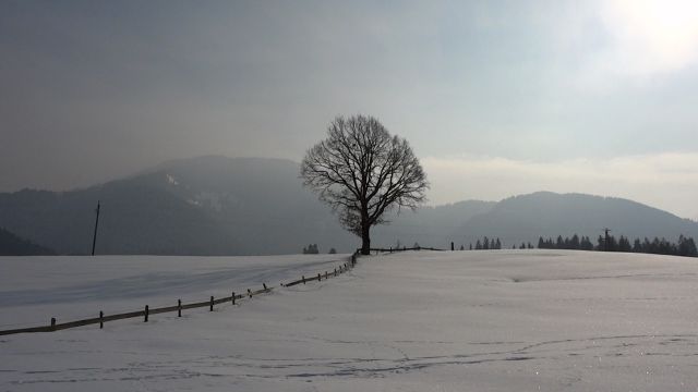 Stumm, Zillertal, feb. 2012 - foto