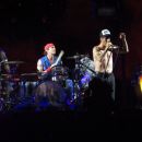 Red Hot Chili Peppers, Zagreb, avg. 2012