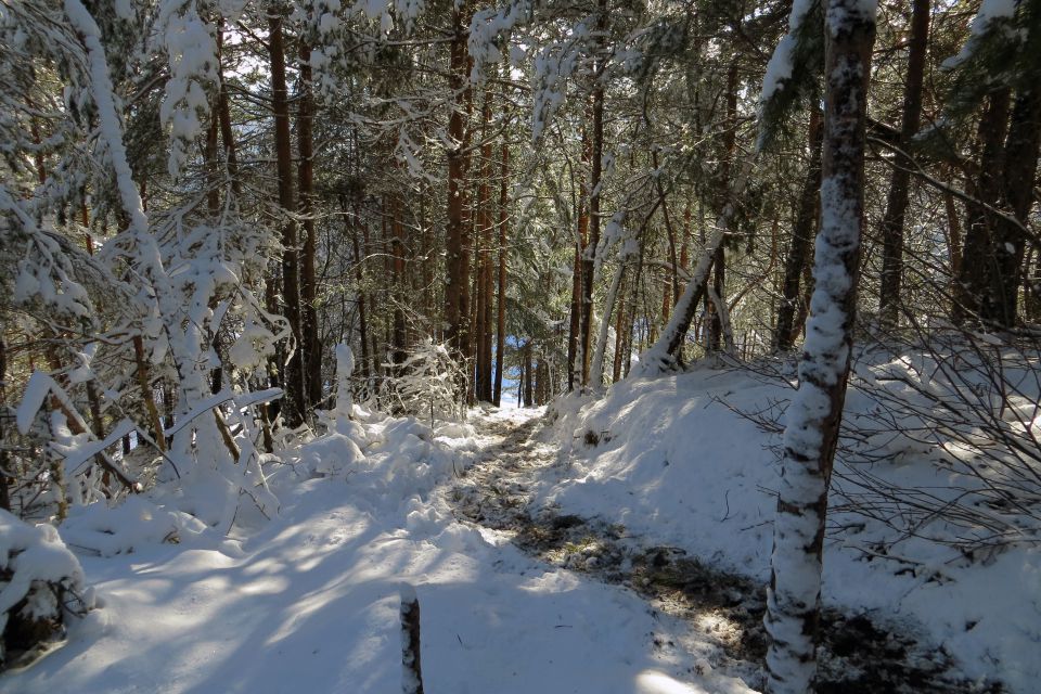 Polhograjska Grmada, feb. 2013 - foto povečava