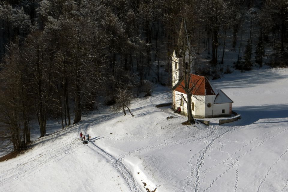 Polhograjska Grmada, feb. 2013 - foto povečava