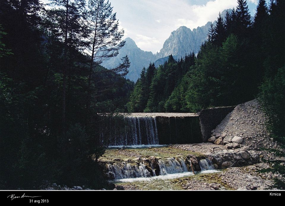 Krnica & Zelenci, avg. 2013 - foto povečava