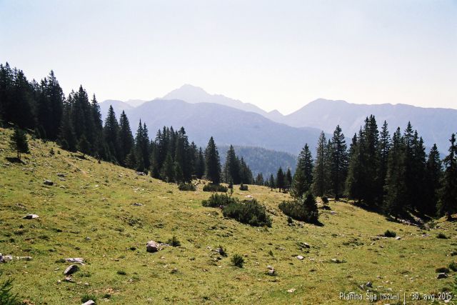 Planine Pungrat, Šija, Ilovica, avg. 2015 - foto