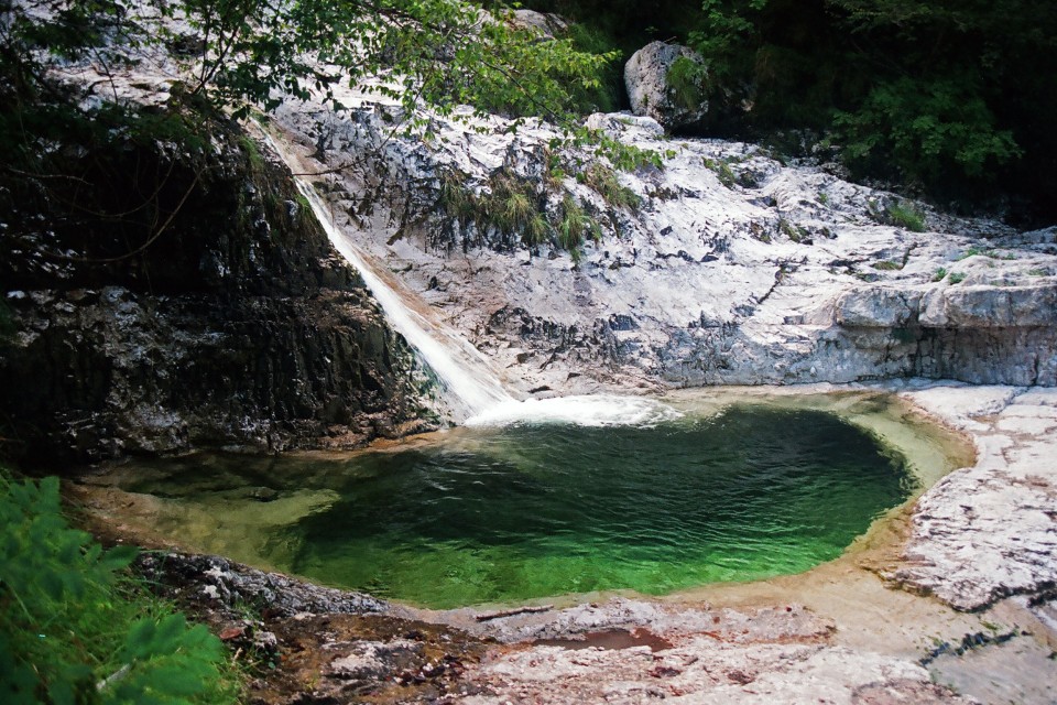 Arsié, avg. 2020 - foto povečava