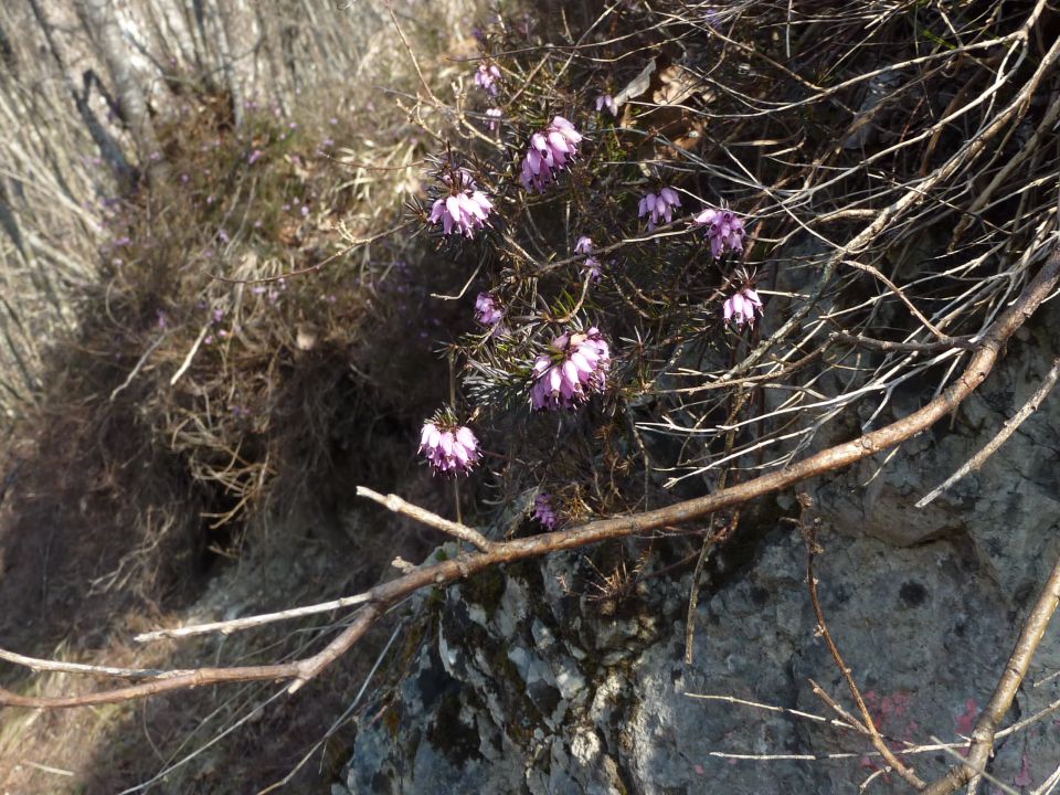 Kostelska planinska pot - foto povečava