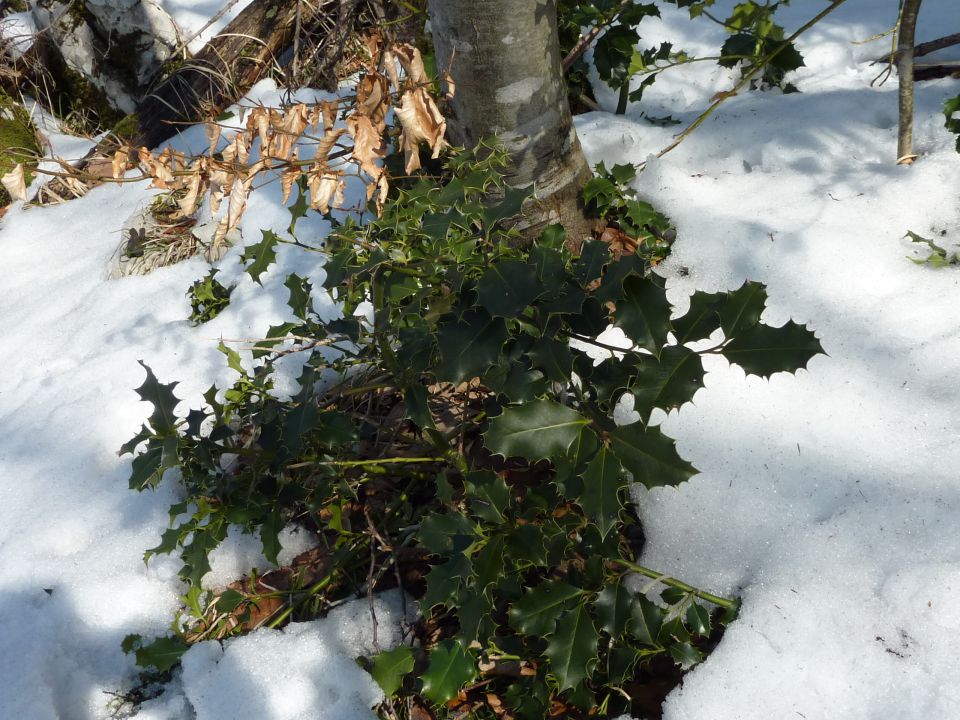 Kostelska planinska pot - foto povečava