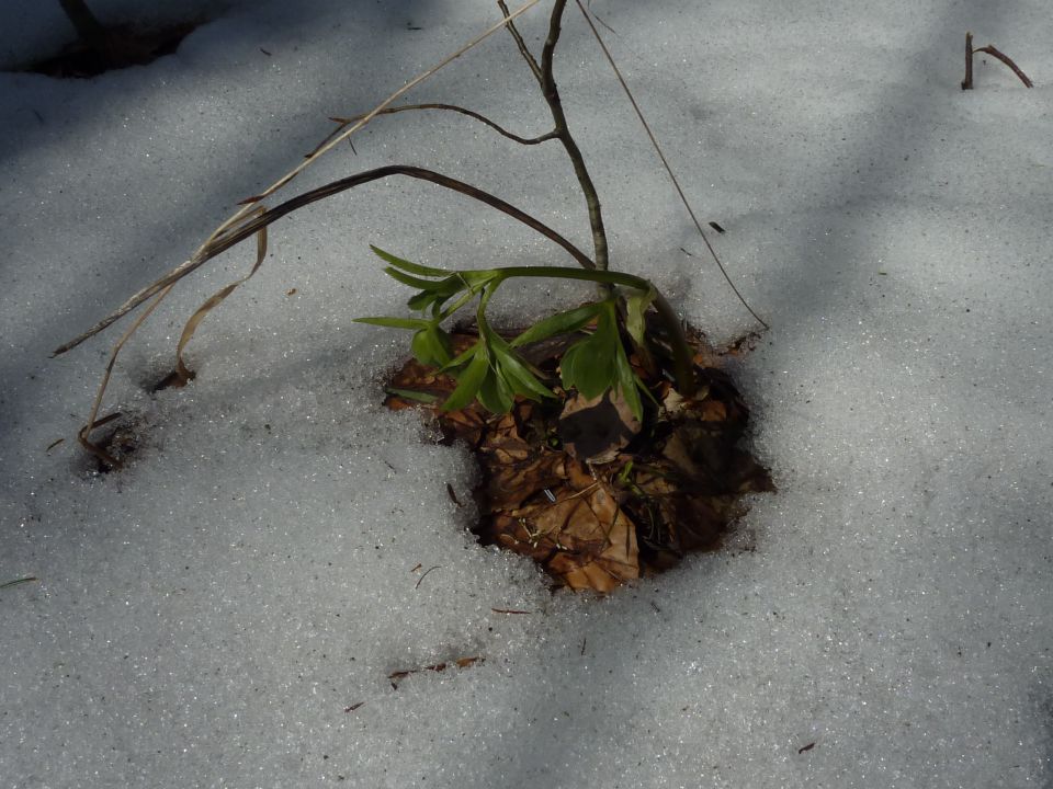 Kostelska planinska pot - foto povečava