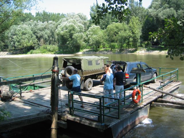 Pinzgauer - foto