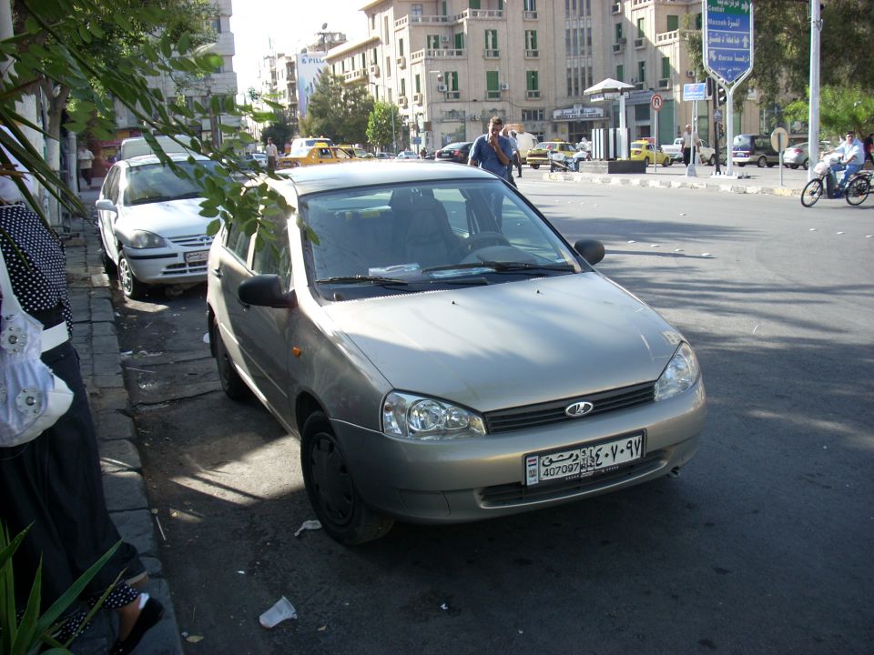 Lada bosna - foto povečava