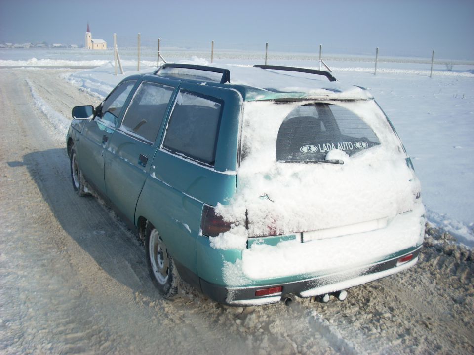 Lada bosna - foto povečava