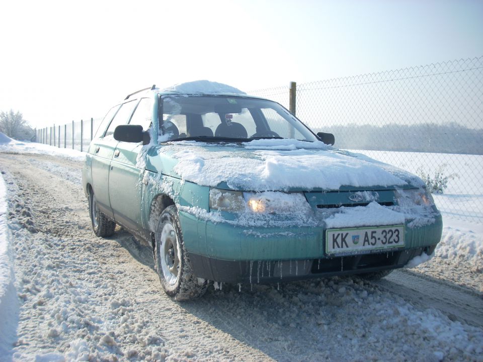 Lada bosna - foto povečava