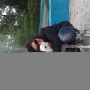 Galga Serrat; 9.6.2014