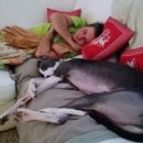 Greyhound Frankie; 10.6.2014