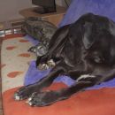 Galga Kiri; 10.6.2014