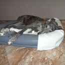 Galga Kiri; 10.6.2014